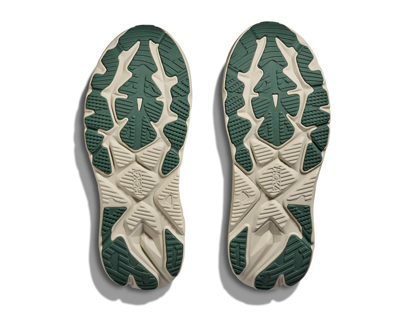 Arahi 8 Truffle Salt Oyster Mushroom-7