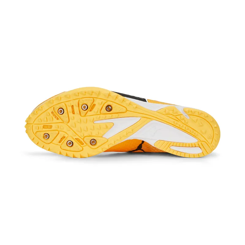 EVOSPEED HARAKA 8 Sunset Puma Black Puma White-3