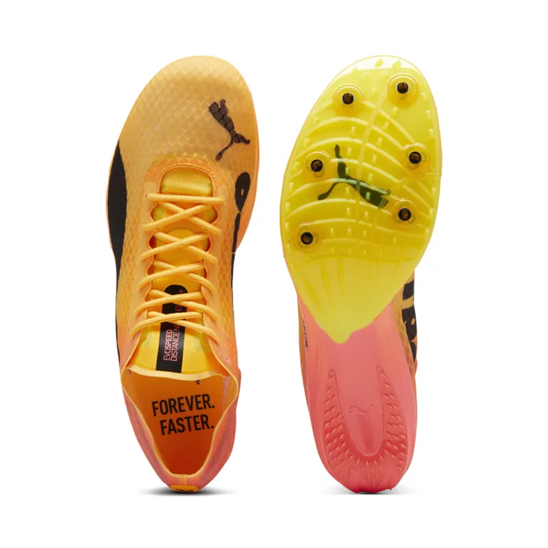 EVOSPEED DISTANCE NITRO ELITE+ 4 Sunset Sunglow Black-4