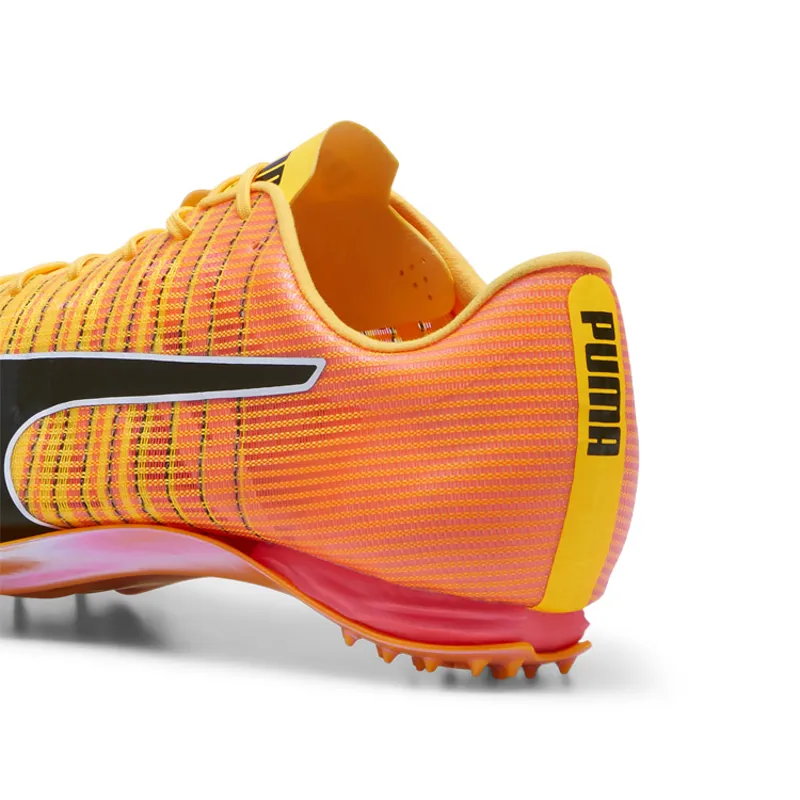 EVOSPEED 400 NITRO 2 Sunset Sunglow Black-5