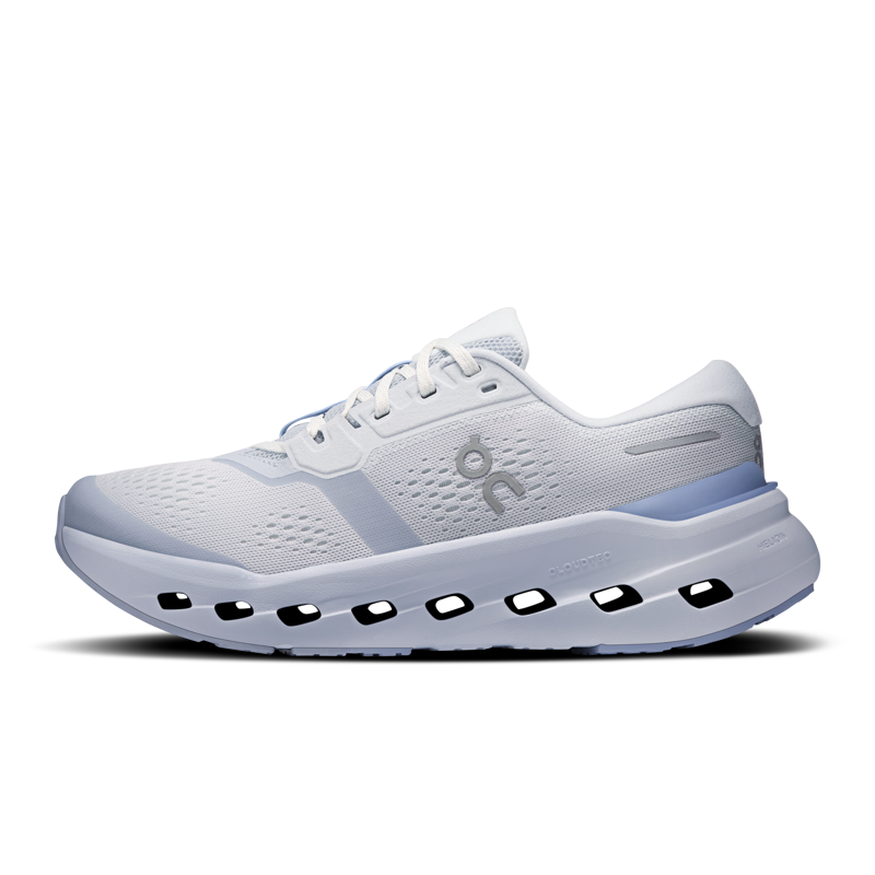 ON Running Cloudrunner 3 Women's Supportive Running Shoes - Heather Marsh-1
