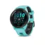 FORERUNNER 265 Mint