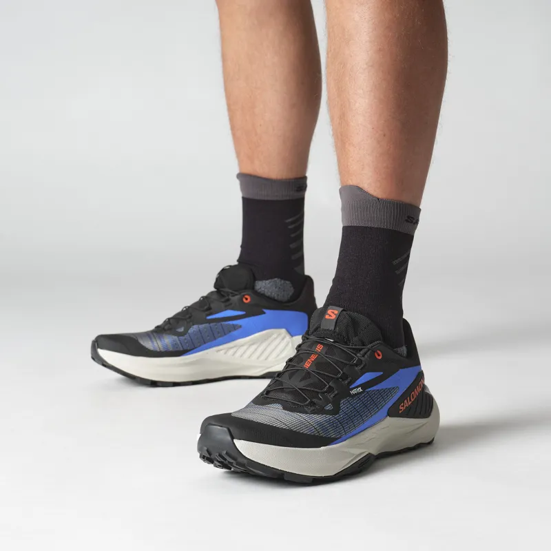 Genesis Black French Blue Cherry Tomato-6