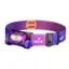 Fenix HM65R-T V2.0 Running Headtorch Nebula