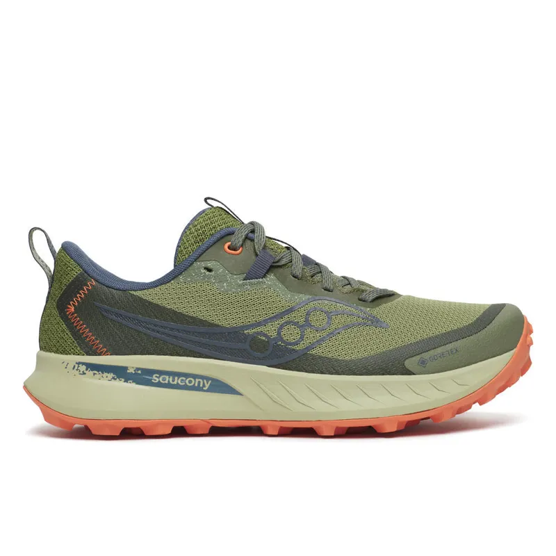 Peregrine 15 Gtx Hemlock Dusk Women's