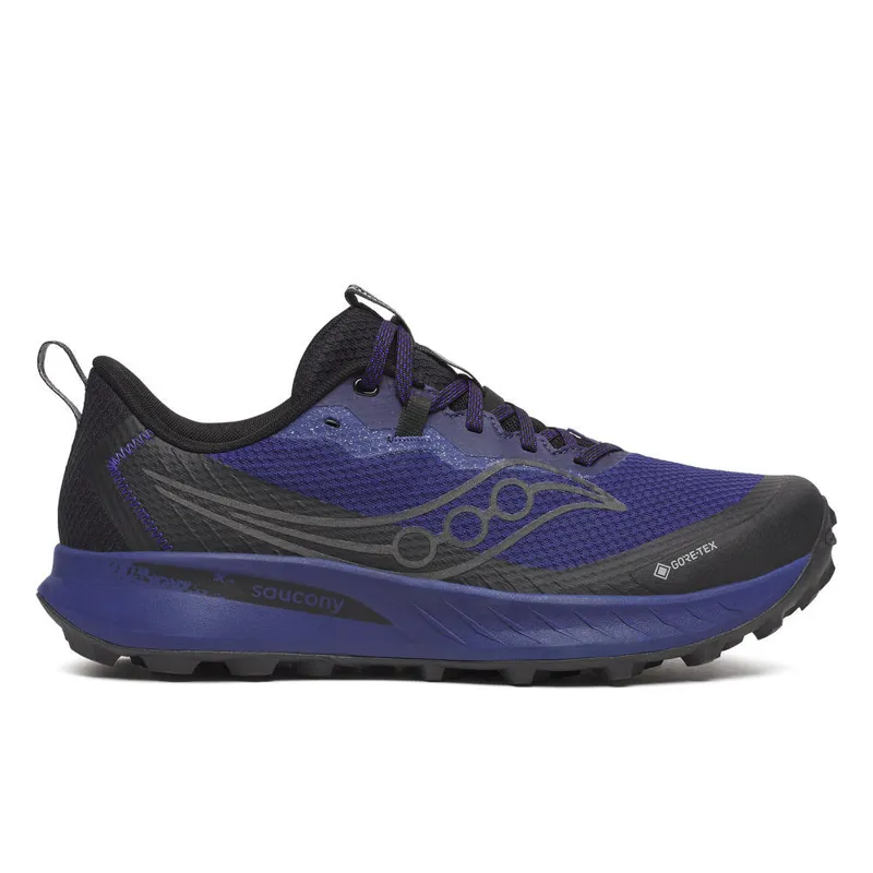 Peregrine 15 GTX Men's Trail Running Shoes Regal Black