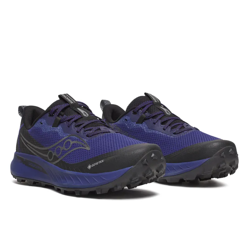 Peregrine 15 GTX Men's Trail Running Shoes Regal Black-1