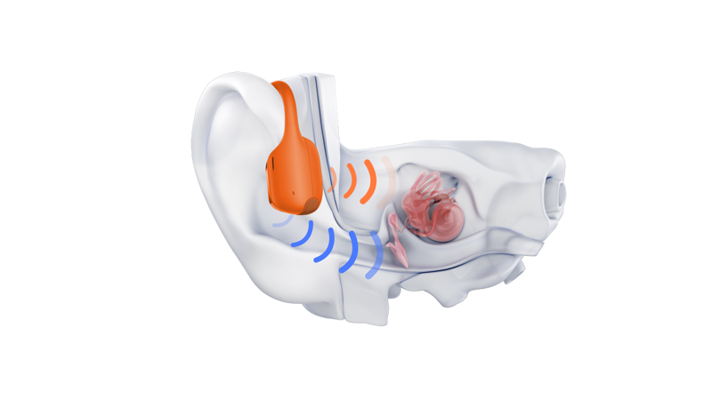 Open Run Pro 2 Orange-9